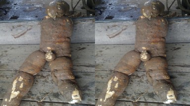 Hà Tĩnh: Đào được củ sắn "hình dạng" giống người