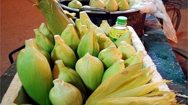 "Kinh hãi" bắp luộc vỉa hè: Người bán không dám ăn
