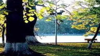 Không khí lạnh suy yếu, nắng đẹp trên khắp cả nước