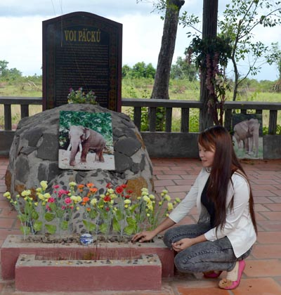 khu mộ voi kỳ lạ ở Buôn Đôn