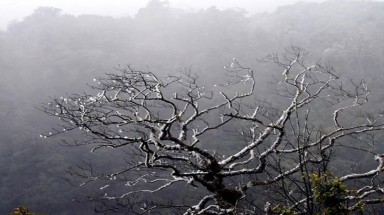 Miền Bắc: Không khí lạnh về, vùng núi nhiều nơi rét hại