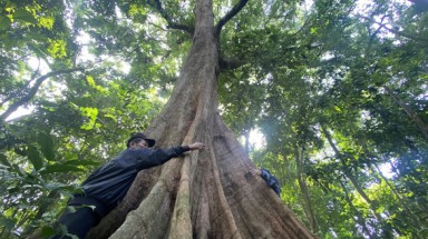Giữ màu xanh nguyên thủy