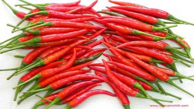Đàn ông ăn cay mạnh mẽ "chuyện ấy"
