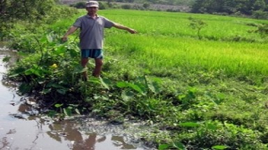   Thừa Thiên-Huế : Nước thải từ nhà máy Phong Điền vẫn gây ô nhiễm