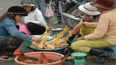 Giết mổ gia cầm lậu tràn lan