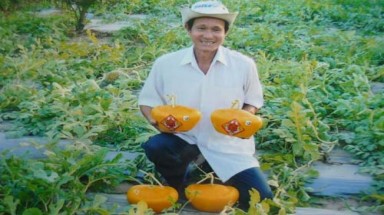 Dưa hấu thỏi vàng có hình Mercedes-Benz giá bạc triệu