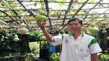 Đèn bầu hồ lô