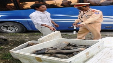 Phát hiện xe khách chở chân trâu thối