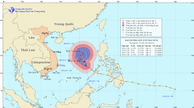Bão số 9 cách đảo Song Tử Tây (Trường Sa) khoảng 250 km