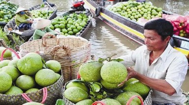  Mở rộng thị trường xuất khẩu rau, quả thương hiệu Việt