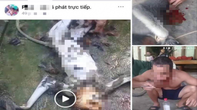 Lại "giết khỉ ăn óc khoe phây": nghĩ sao đây?!