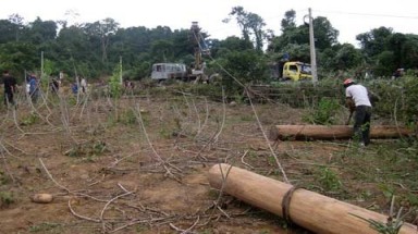 Bài học lớn trong công tác quản lý bảo vệ rừng
