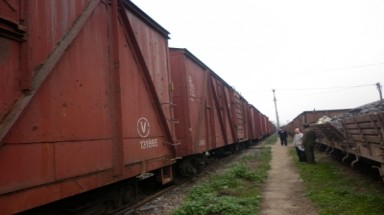 Hà Nội: Phát hiện 15 toa tàu chở gỗ quý hiếm