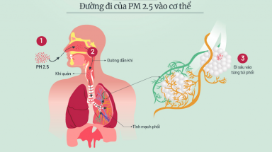 Những đợt ô nhiễm bụi mịn ở Hà Nội trong năm 2019
