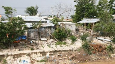  Người dân Ninh Thuận khổ sở vì đất nhiễm mặn 