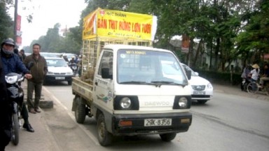  Bị phạt vì quảng cáo bán thịt heo rừng