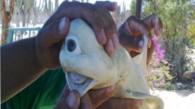  10 hình ảnh thu hút cộng đồng mạng năm 2011