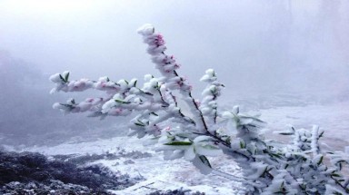 Băng giá kỳ thú, bất ngờ tại miền Tây xứ Nghệ