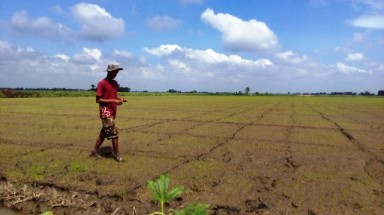 Thúc đẩy ứng dụng công nghệ cao vào sản xuất nông nghiệp tiểu vùng Tứ giác Long Xuyên