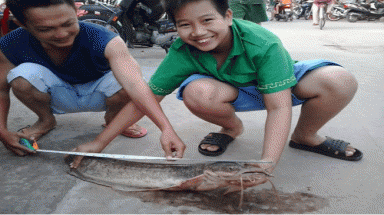    Tiền Giang: Câu được "lão" cá trê