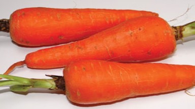 Các chế độ  phòng tránh bệnh chuyển mùa