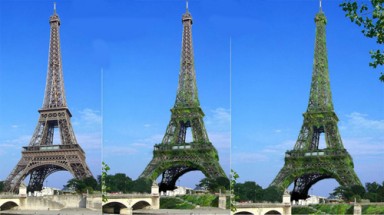 Tháp Eiffel trở thành “cây xanh khổng lồ” của nước Pháp