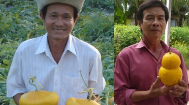 Dưa hồ lô - hàng mới miệt vườn