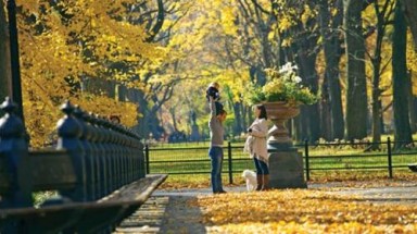 Mùa đẹp nhất ở New York
