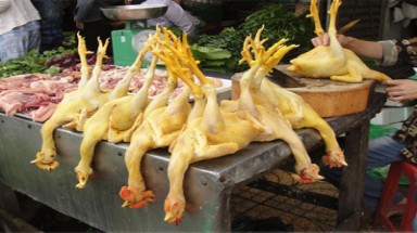 TP.HCM: Phát hiện gà tẩm phẩm màu độc hại
