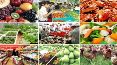 Hàng Tết trong siêu thị có thực sự an toàn?