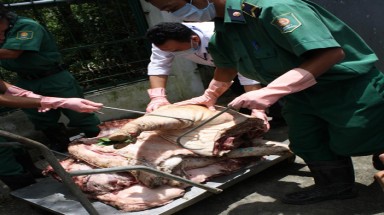  Ở đâu cũng thấy thực phẩm bẩn