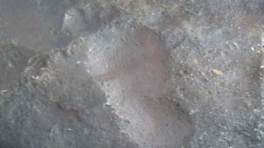 Bình Phước: Phát hiện bàn chân hóa thạch in trên đá