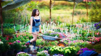 Từ nay tới Tết dương lịch có 5 đợt không khí lạnh, 3 đợt rét đậm, đề phòng bão số 10