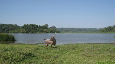 Thủy điện Đồng Nai 6, 6A: Nhiều tổ chức tiếp tục phản đối