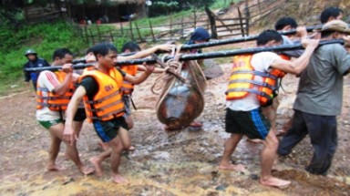   Quảng Bình: Phát hiện và vô hiệu hóa quả bom nặng 360kg