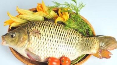 Sai lầm khi ăn cá chép có thể gây ngộ độc, hại gan