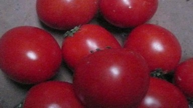 Cà chua chín cực nhanh nhờ... hóa chất lạ