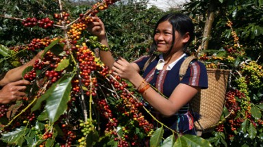  Nông dân có thể định đoạt giá nông sản