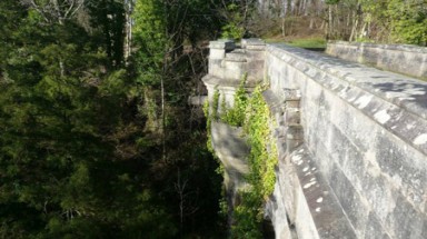 Cây cầu “ma ám” khiến hàng loạt chú chó... tự tử