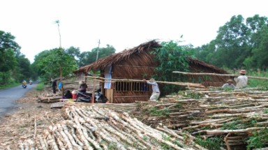  Rừng U Minh Hạ đổi thay