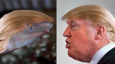 Tại sao một loài giun mới lại được đặt tên là Donald Trump?
