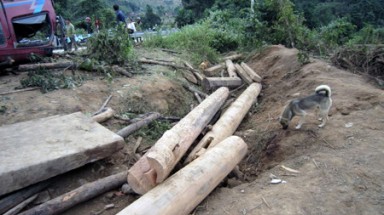 Vụ lật xe thảm khốc ở Nghệ An: CQĐT triệu tập thêm hai kiểm lâm viên