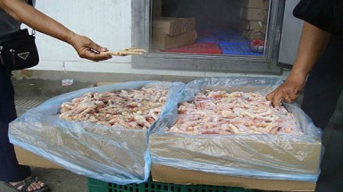 Tái xuất lô hàng 108 tấn chân gà thối ra khỏi Việt Nam