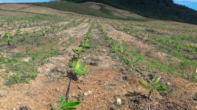 Bí thư Hà Tĩnh nói về sai phạm tại dự án liên quan đến ông Trần Bắc Hà