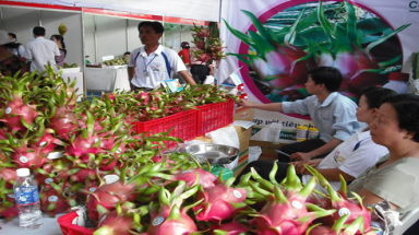   Tăng cường đổi mới sản phẩm bền vững cho doanh nghiệp