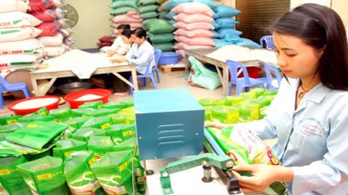 Tăng cường xuất khẩu gạo thơm