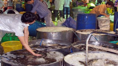 Xây dựng chuỗi cung ứng thực phẩm an toàn - Kiểm soát từ gốc