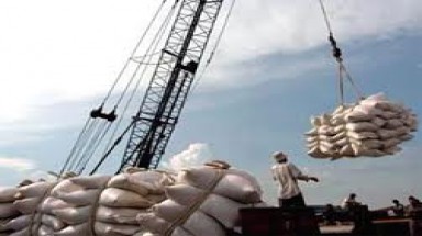  Thái Lan lo lượng gạo xuất khẩu giảm