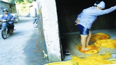  Kinh hãi làm miến ở làng nghề
