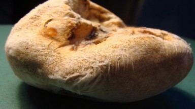 "Vàng ròng" trong đại ngàn Hoàng Liên